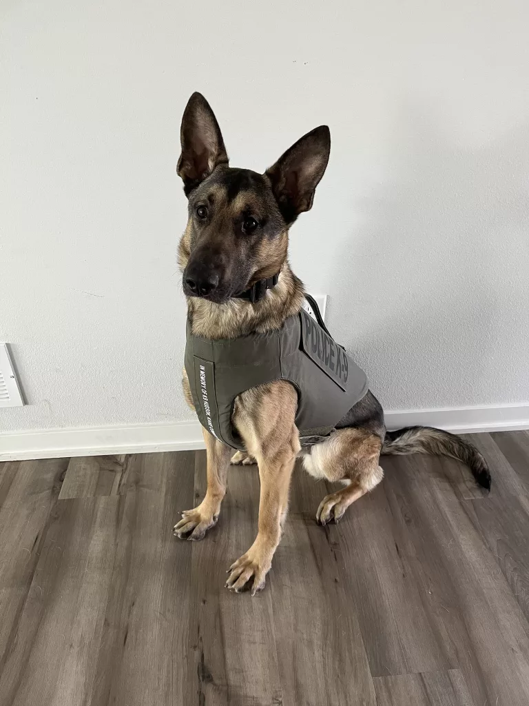 Indianola Police Department Receives K9 Body Armor Donation - Vimarsana News