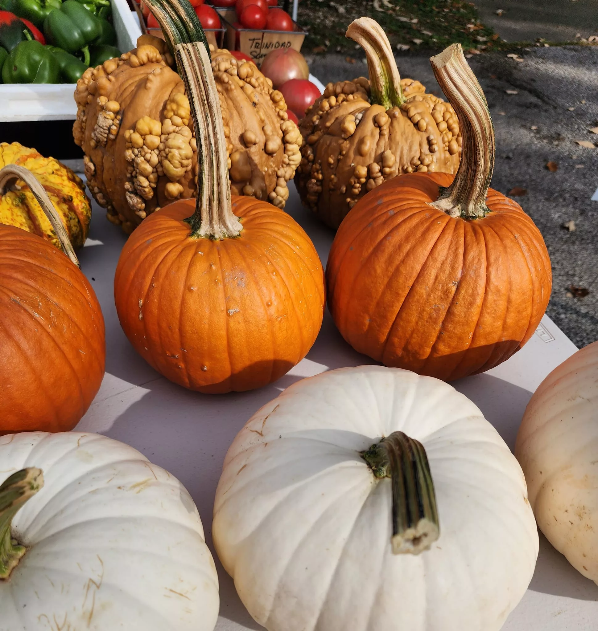 farmers-market-pumpkin