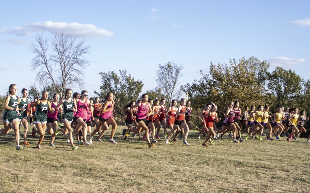 Buhrow leads Norwalk boys to runner-up finish at LHC Cross Country Meet; Foster helps Indianola girls take 3rd - Vimarsana News