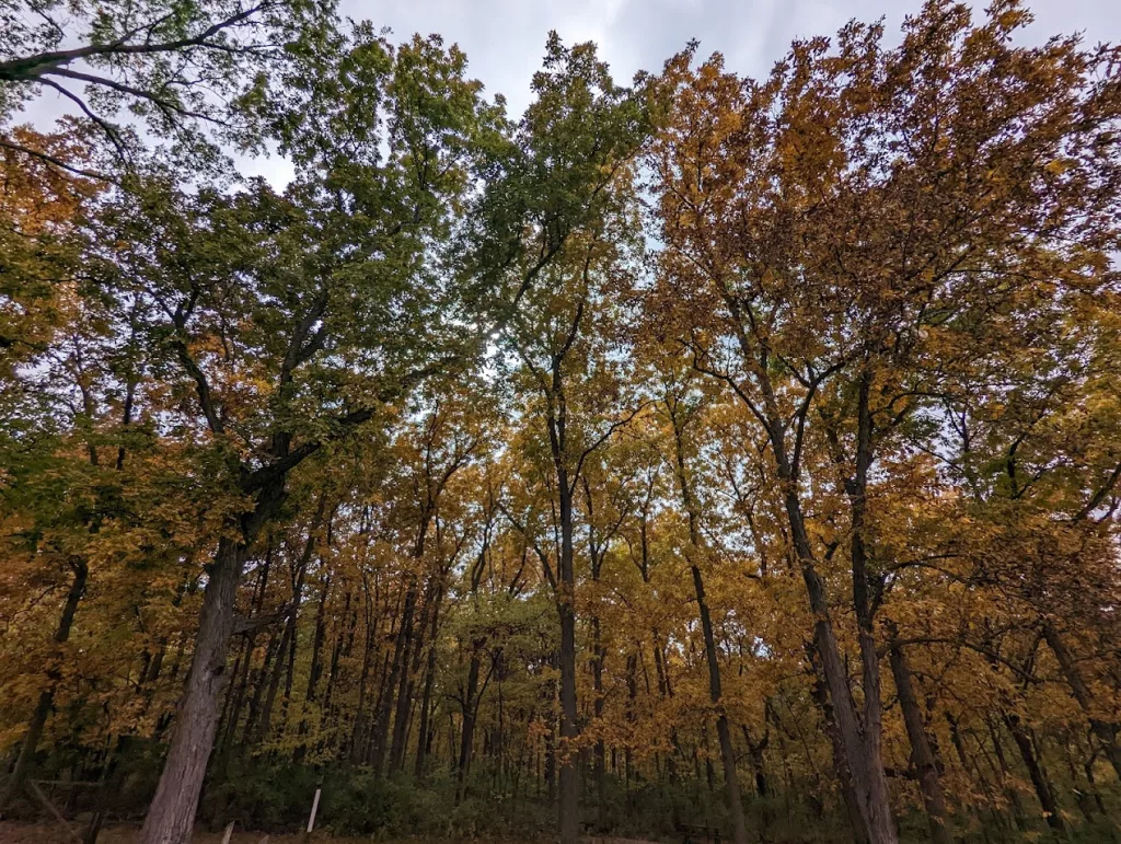Big Rock Park Grant Celebration Scheduled - Vimarsana News
