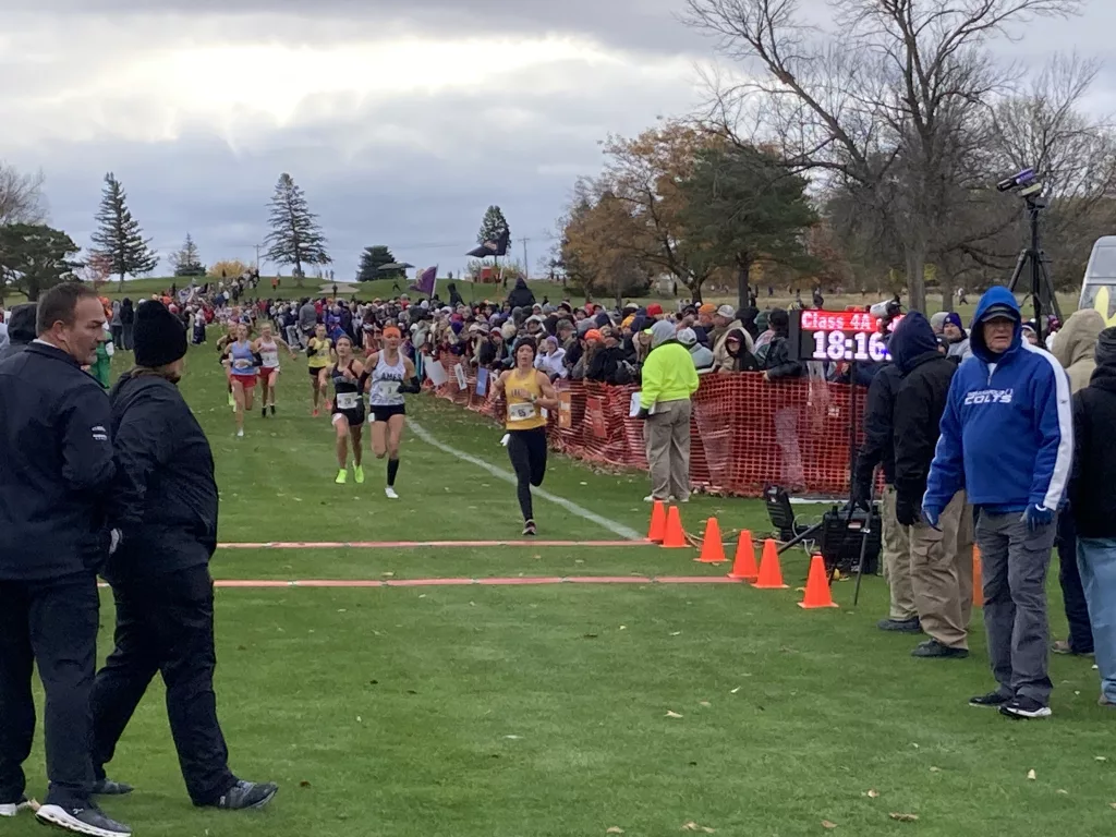 Area Athletes Competed at the State Cross Country Meet on Friday - Vimarsana News