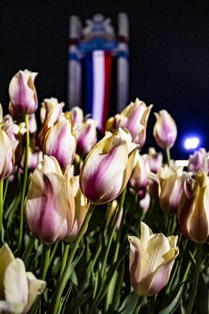 Tulip Time Road Closures Increase Through Saturday - Vimarsana News
