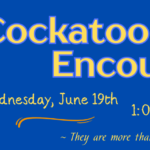 Knoxville Public Library to Hold a Cockatoo Encounters Program Today