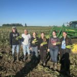 Dan-D Farms Sweet Corn Season in Full Swing
