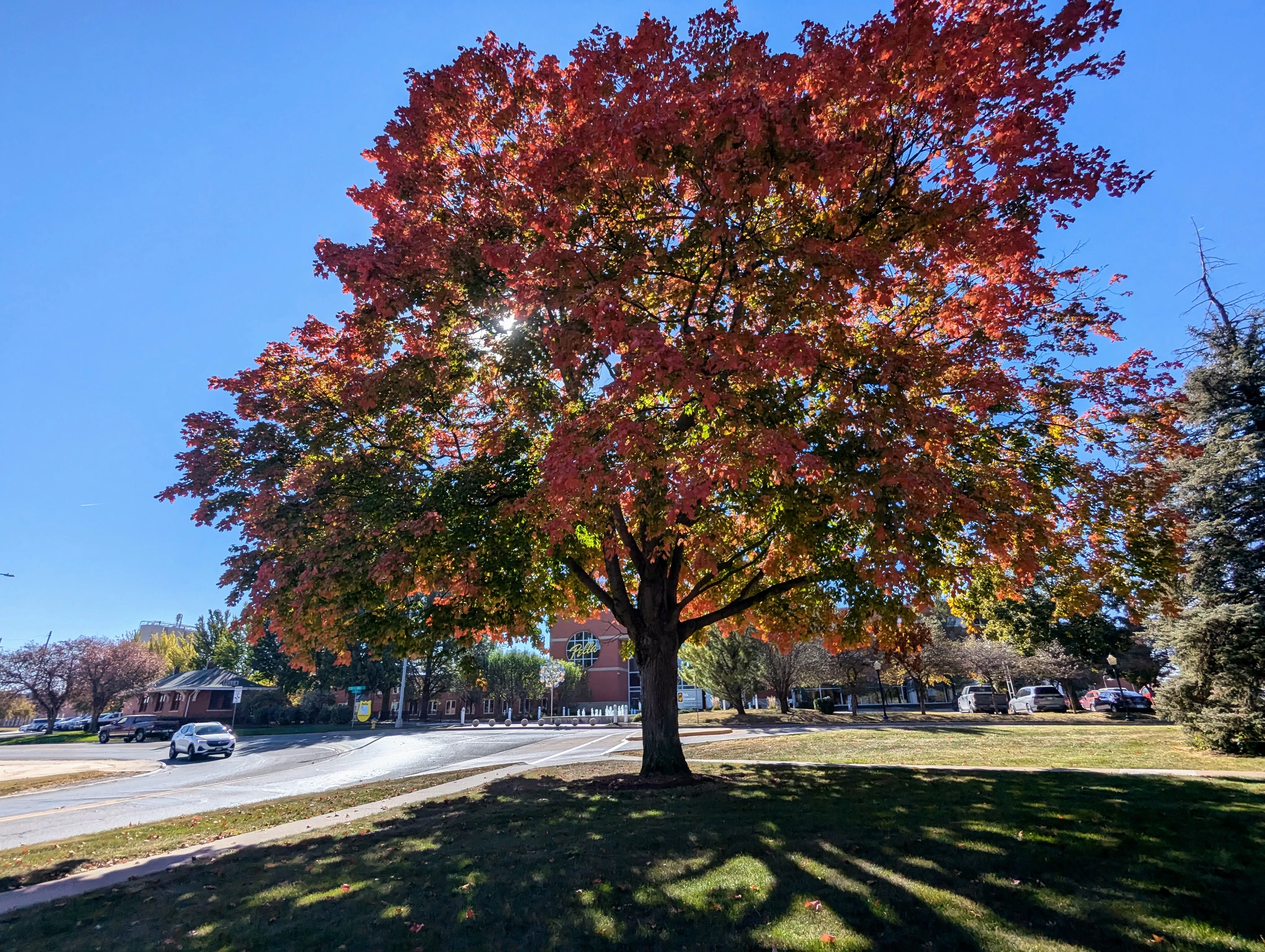 fall-colors-2024-continued