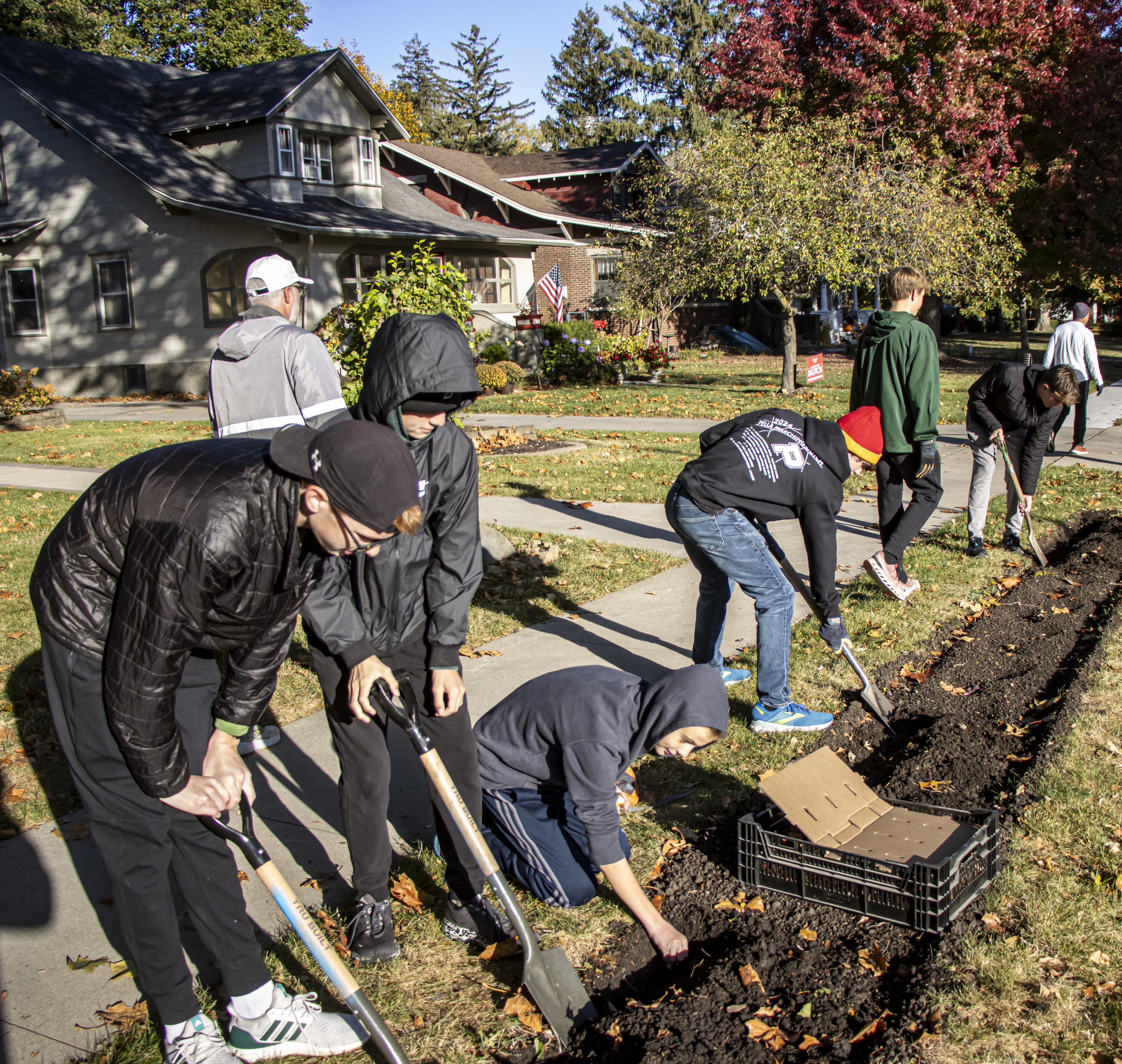 tulip-planting_004