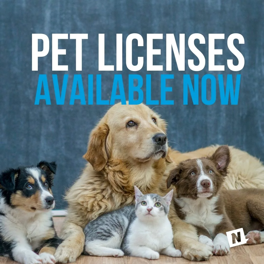 pet-license