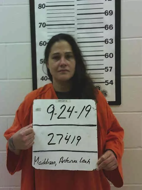 maddisonantonia
