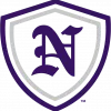 n_shield_-purplesilver-for-light-background