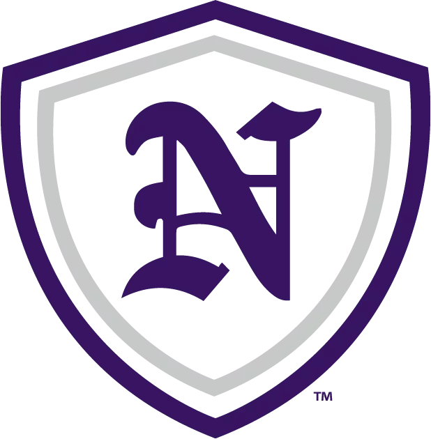 n_shield_-purplesilver-for-light-background