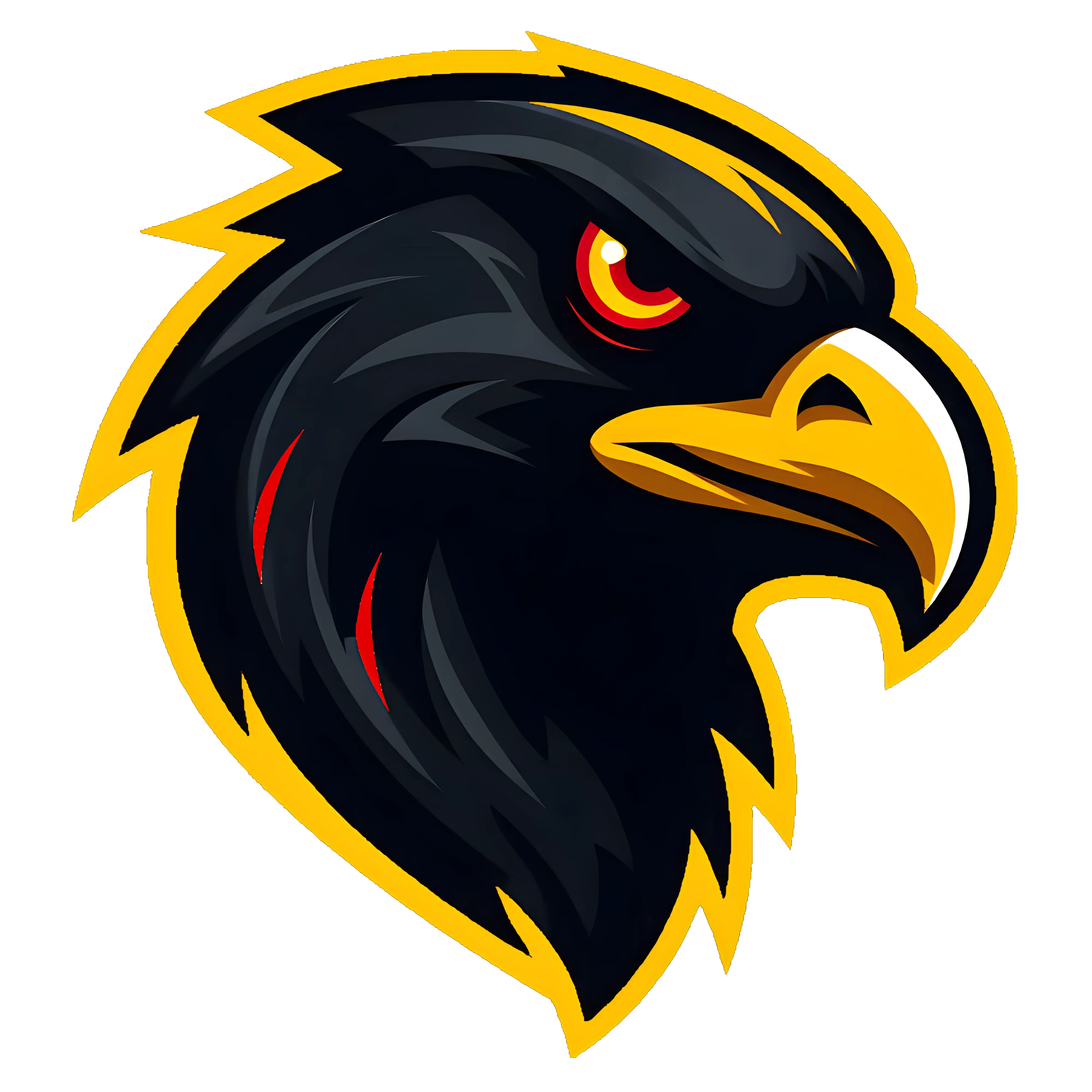 iowanighthawks