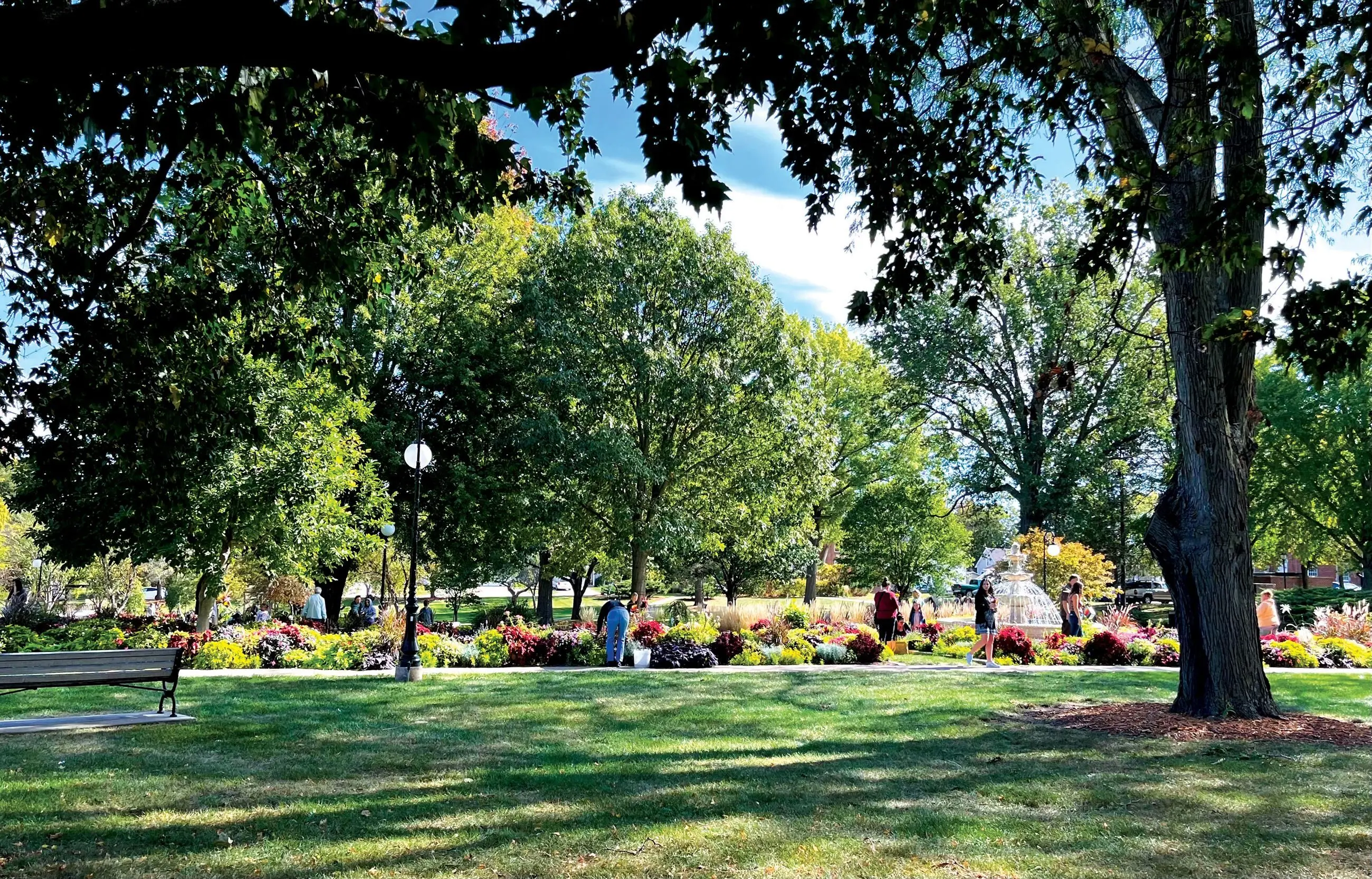 Pick Your Own Buxton Bouquets