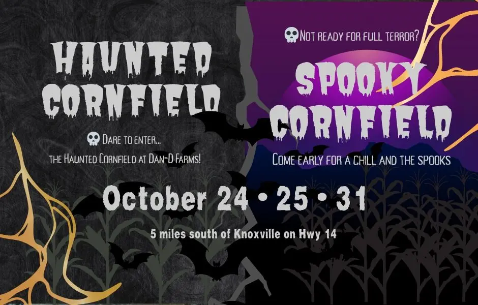 561009818_1212209537602118_4835846630723165490_n