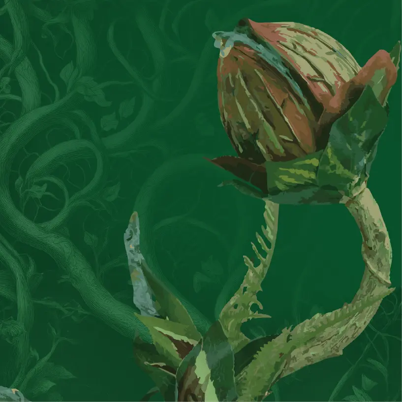 fb-profile_littleshop