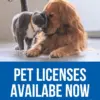 pet-licenses