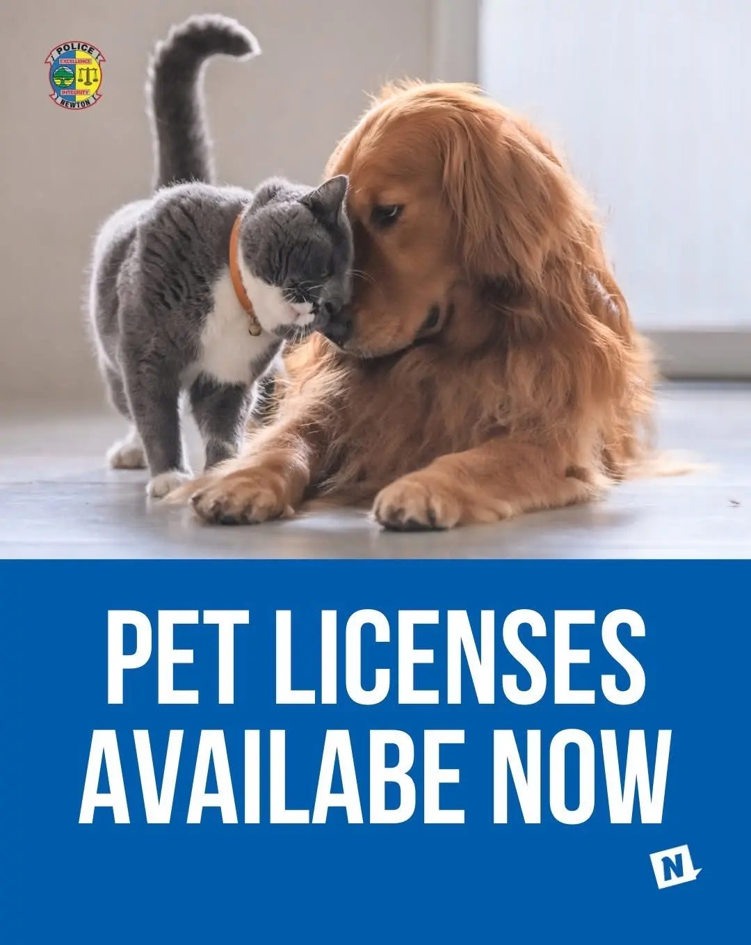 pet-licenses