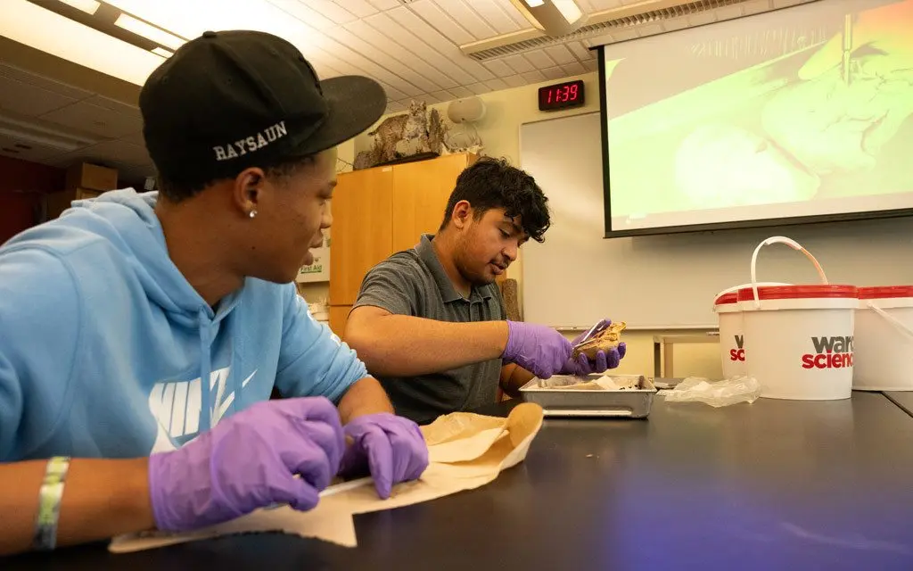 upward-bound-lab-2024