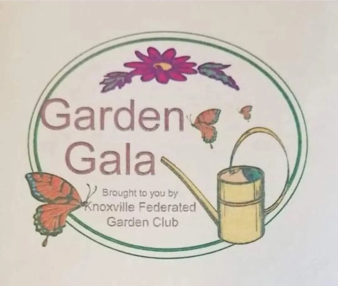 650212288_1223660713259610_5685386717607240102_n