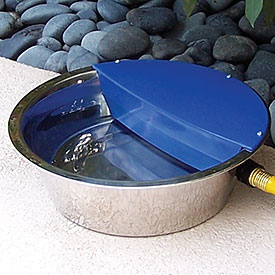 dog-watering-bowl