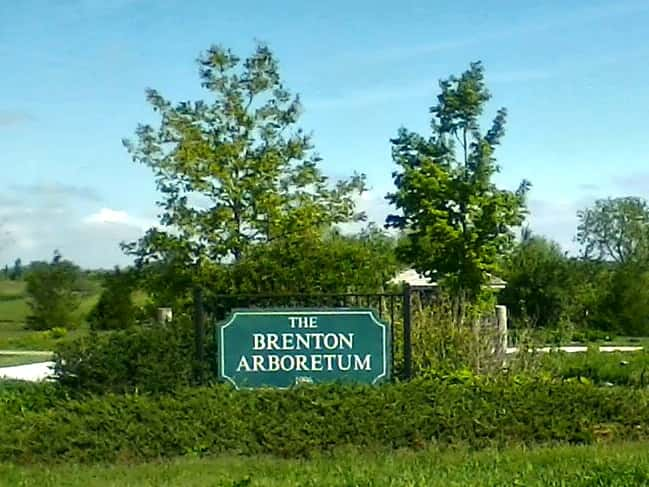 brenton-arb-2-2