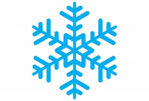 snowflake-300x203-3