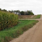 corn intersection