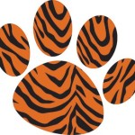 Tiger stripe paw