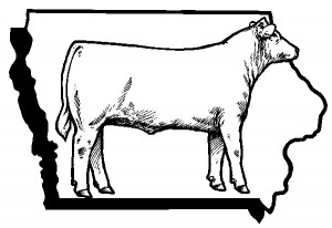 iowa-cattlemen-300x206-13