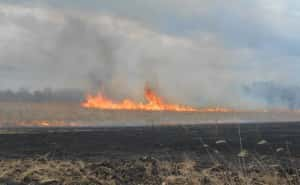 field fire pic 1