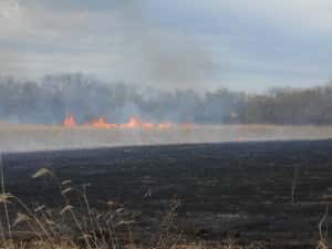 field fire pic 2