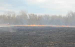 field fire pic 3