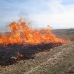 stuart fire dept. controlled burn farm field