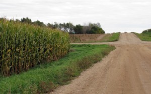 corn intersection