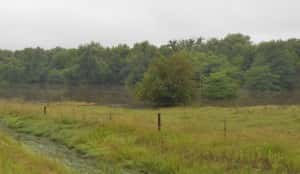 A look at a flooded Buttrick Creek near Grand Junction