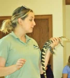 The final animal was an alligator 