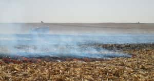 Field fire pic 1