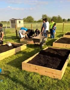 community garden