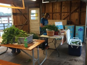 perry farmers market