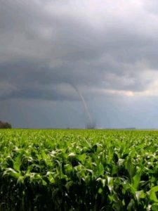 tornado-near-stuart-225x300-2