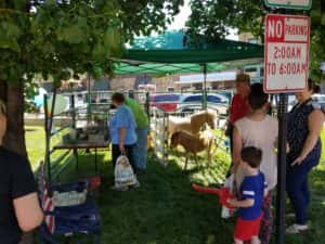 KidsFest - Petting Zoo