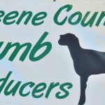 greene-county-lamb-producers
