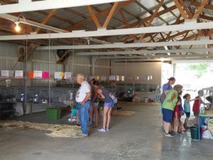 Fair-goers checking out the animal exhibits