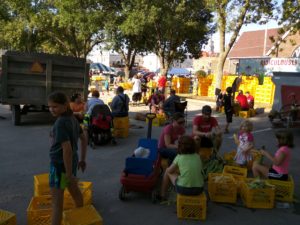 Volunteers shuck corn