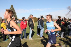 Panorama senior Josh Carstens (right light blue) runs at the 2017 Iowa State Cross Country meet Saturday in Fort Dodge. Photo courtesy of Eileen Nordquist/Panorama Panthers Athletics