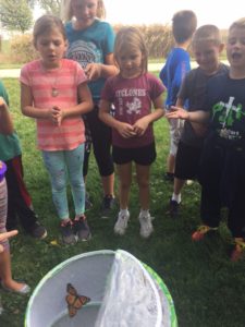 Third graders watching Monarch butterflies. Photo courtesy of GC Schools