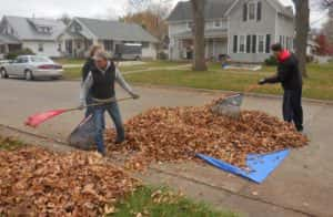 2017 leaf raking pic 2