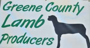 greene-county-lamb-producers-300x160