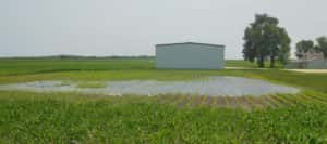 Ponding on a farm field from last Thursday