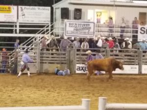 Sven Peterson thrown by a bull at the 2018 Dallas County Rodeo