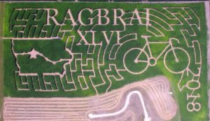 This year's corn maze design. Photo courtesy of Deal's Orchard